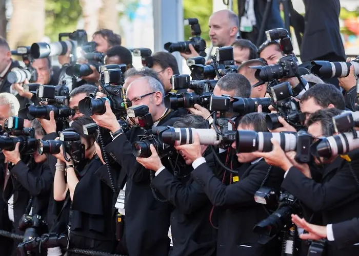 Gray 2a7 * カンヌ